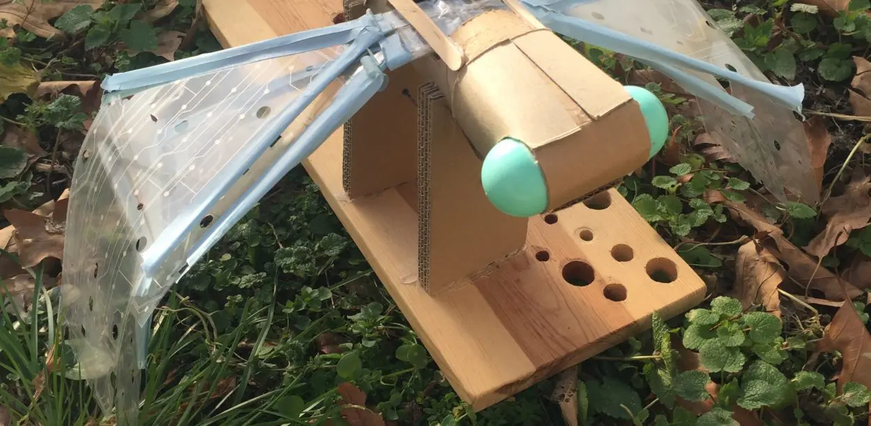 artist opportunities