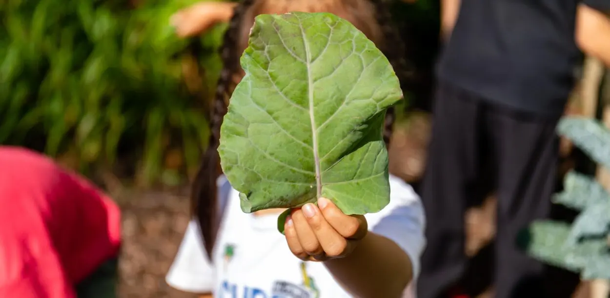 camps for age 4