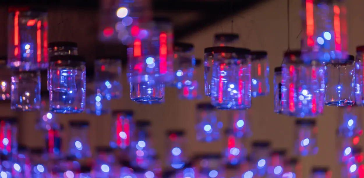 Spontaneous Order: The Rhythm of Fireflies