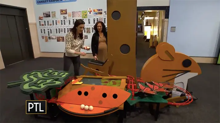 Taking a walk on the wild side at the Children’s Museum of Pittsburgh