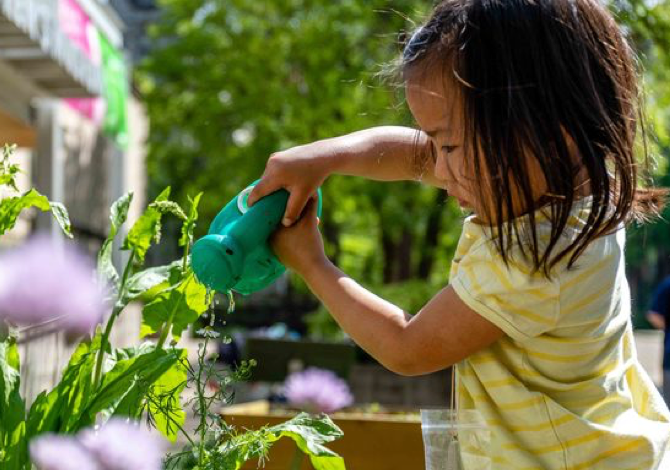 young girl in yellow shirt with watering can watering an outdoor garden