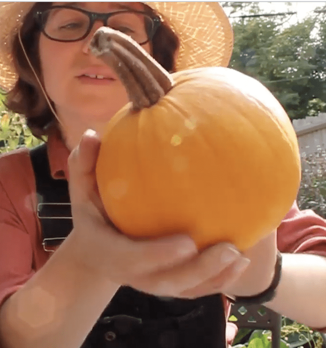Pumpkin Mindfulness