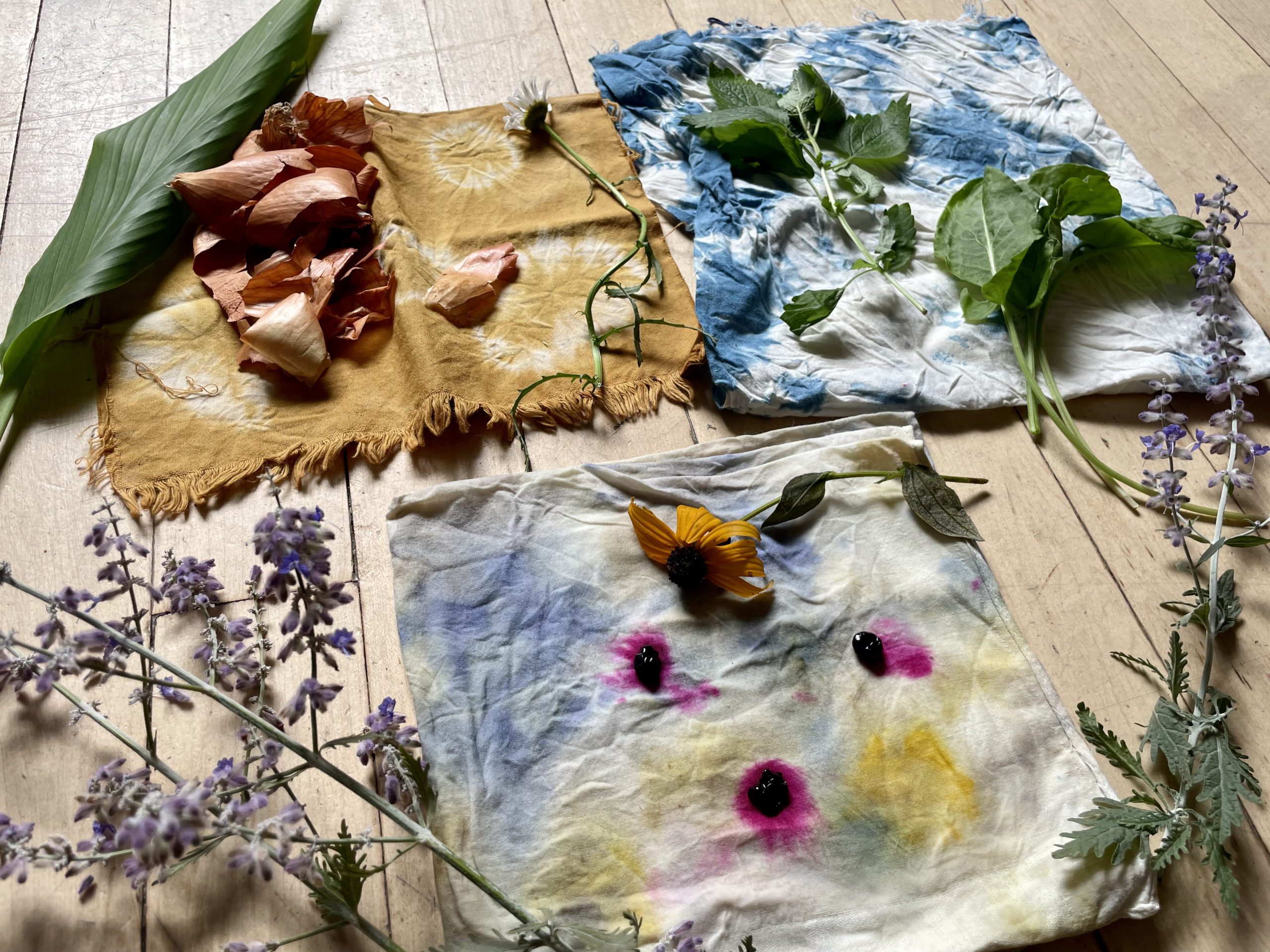 Three pieces of fabric dyed with plants, surrounded by bits of leaves, flowers, and onion skin