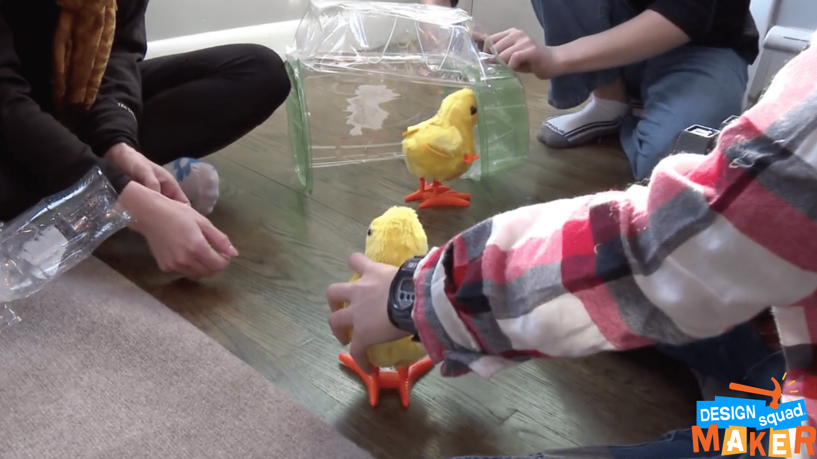 Located on a wooden floor are two wind-up baby chicks. One person is taping together different pieces of plastic to shelter the baby chick. The other chick is being grasped by someone else's hand.
