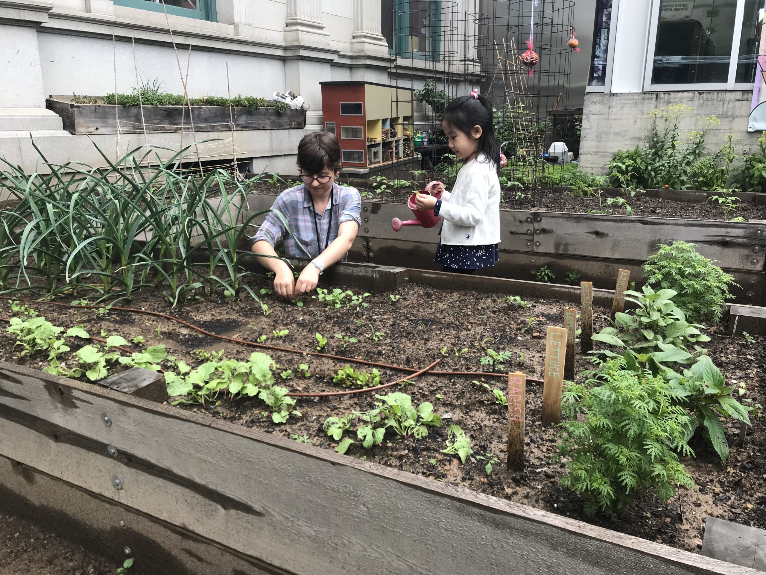 A child and a museum educator are outside in the garden space. The child is holding a small plant and a watering can. The educator has their hands in the garden soil.