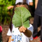child out in the garden holding a large leaf up to the camera covering the child's face