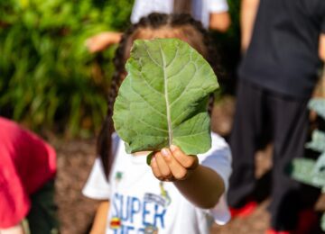 child out in the garden holding a large leaf up to the camera covering the child's face