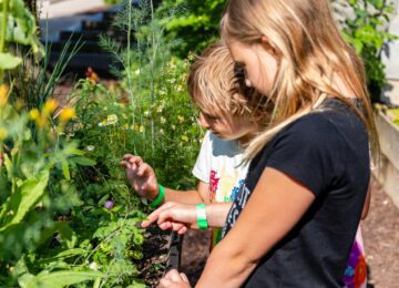 Two children examining a plant growing in a garden bed.