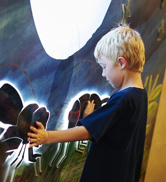 young blonde boy holding both hands onto a wall that lights up with insect and grass illustrations from Very Eric Carle exhibit